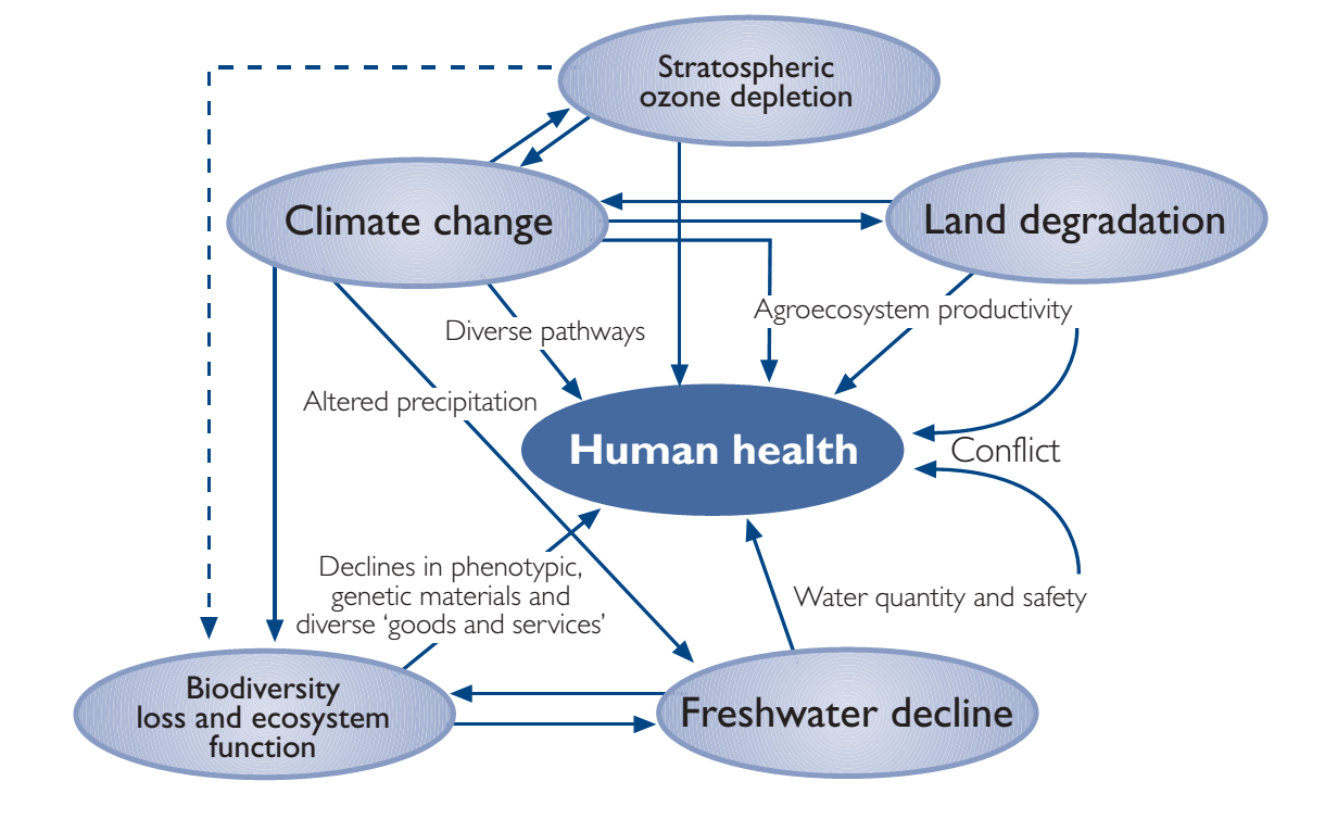 global-climate-change-and-health-the-right-to-health-in-a-climate