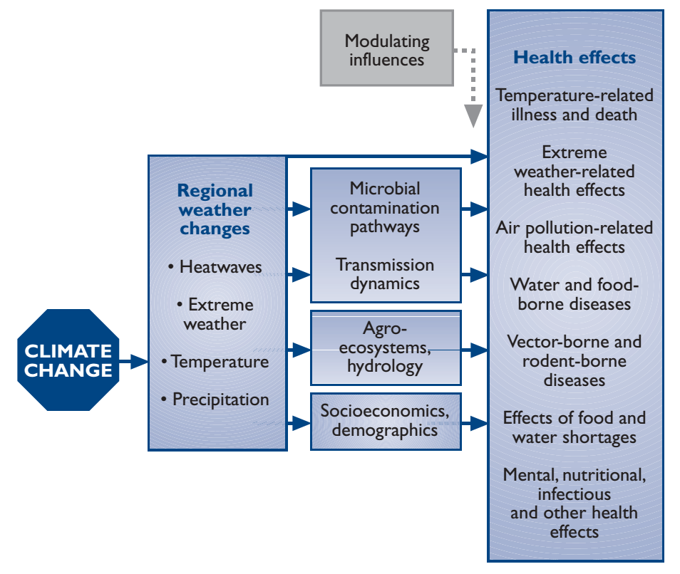 medical research foundation impact of climate change on health